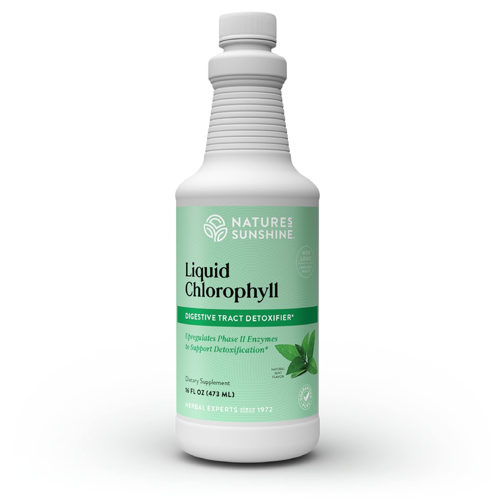 Nature’s Sunshine Liquid Chlorophyll – Immunity Support, Detox & Cleanse, Chloro