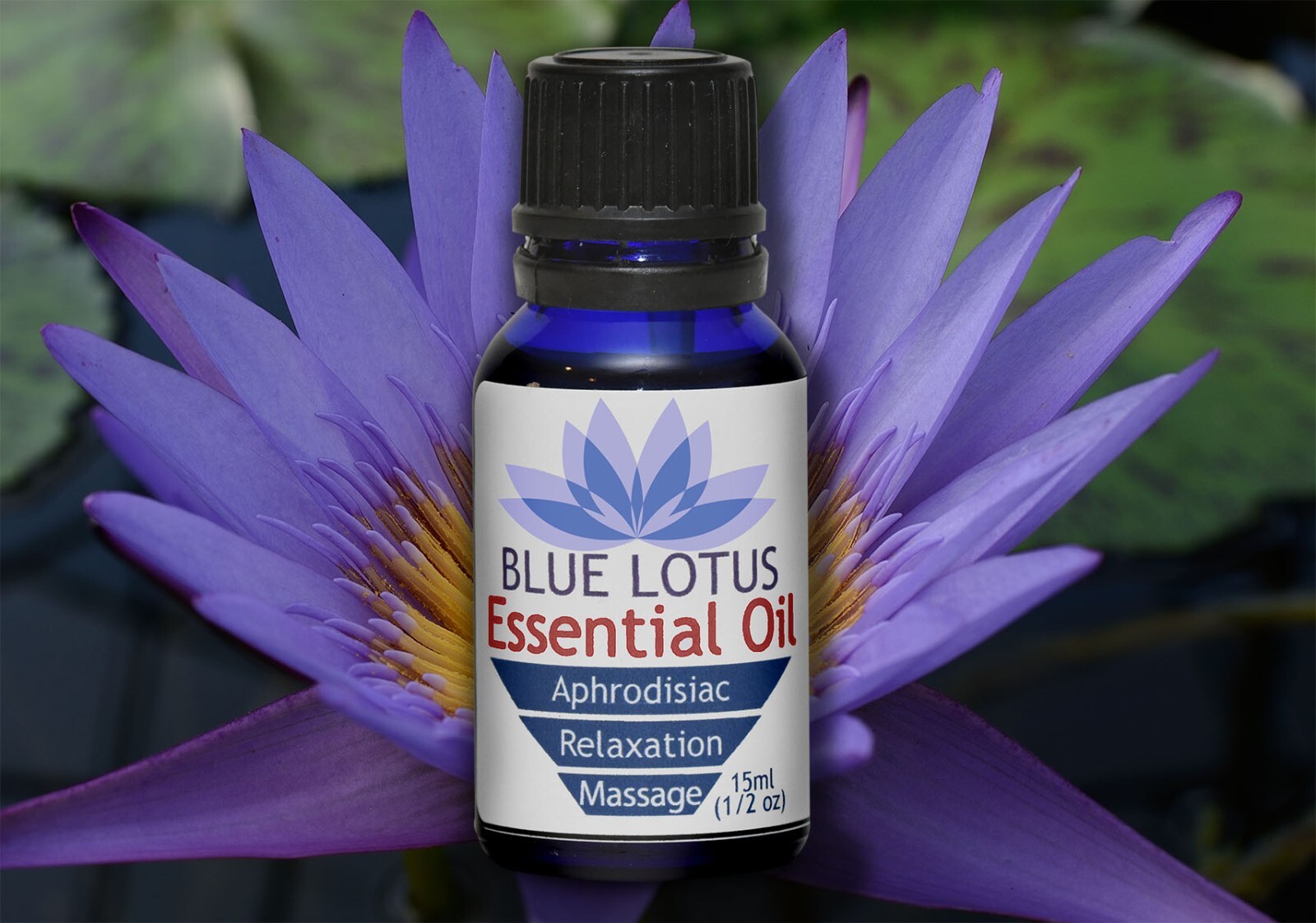Blue Lotus Essential Oil Pure 15ml -ships fast from ATL