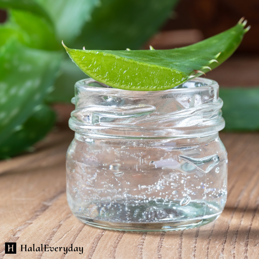 Aloe Vera Gel 1 Gallon / 8 lbs – Pure Organic Thick Soothing Skin Bulk Wholesale