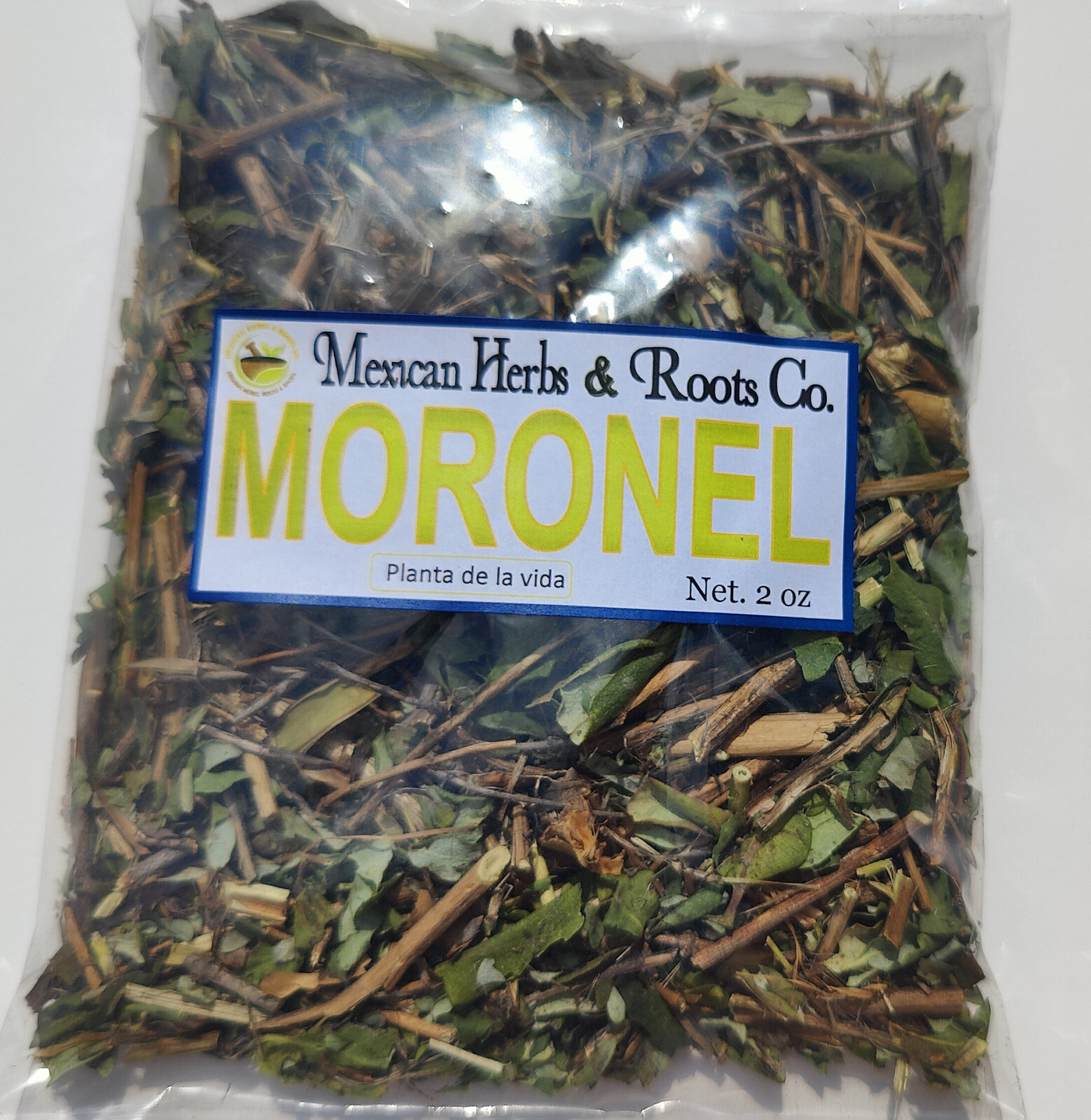 Moronel Planta de La Vida Te de moronel moronel organico hierba mexicana