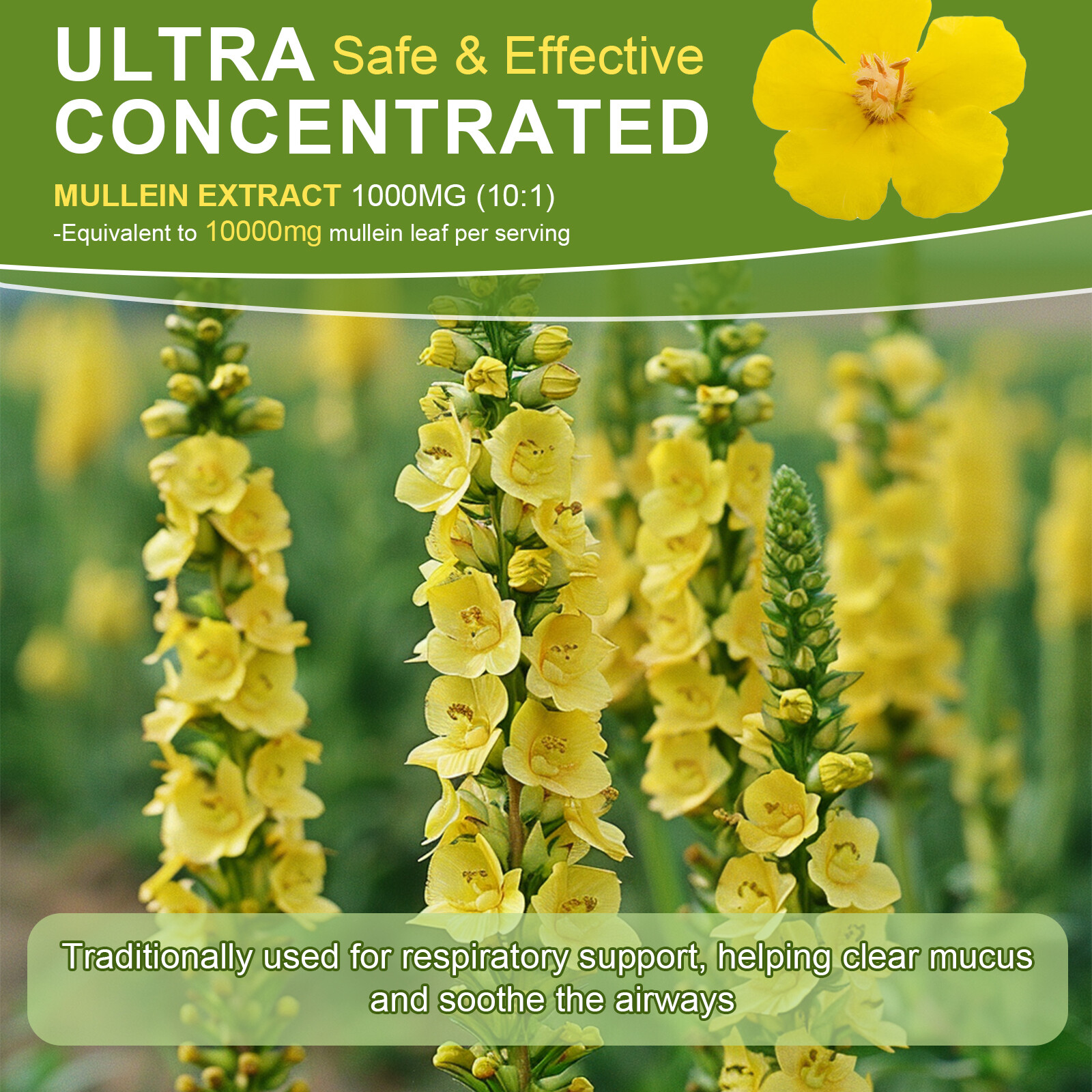 Mullein Leaf Extract Organic Lung Cleanse Drops for Lung Health Natural Herbal