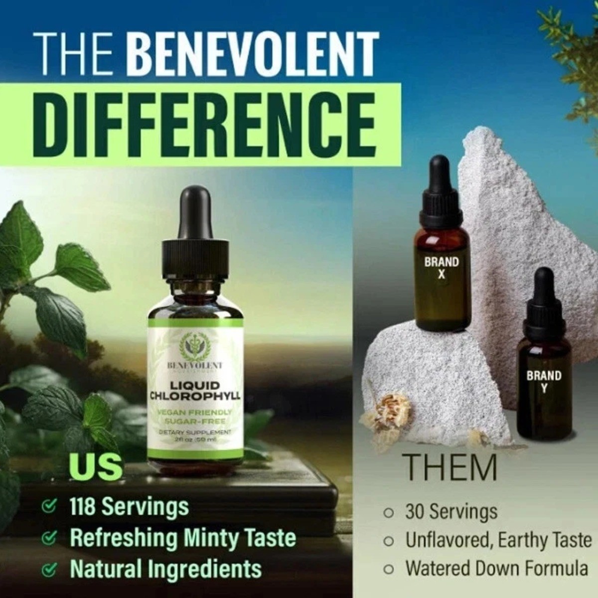 Chlorophyll Liquid Drops – Internal Deodorant, Detox Support, Gut & Liver Health