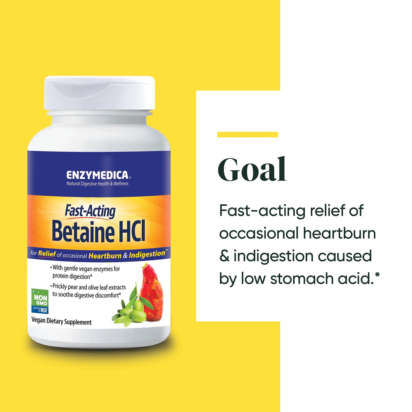 Enzymedica Betaine HCl for Men & Women – 120 Count (Pack of 1), No Color