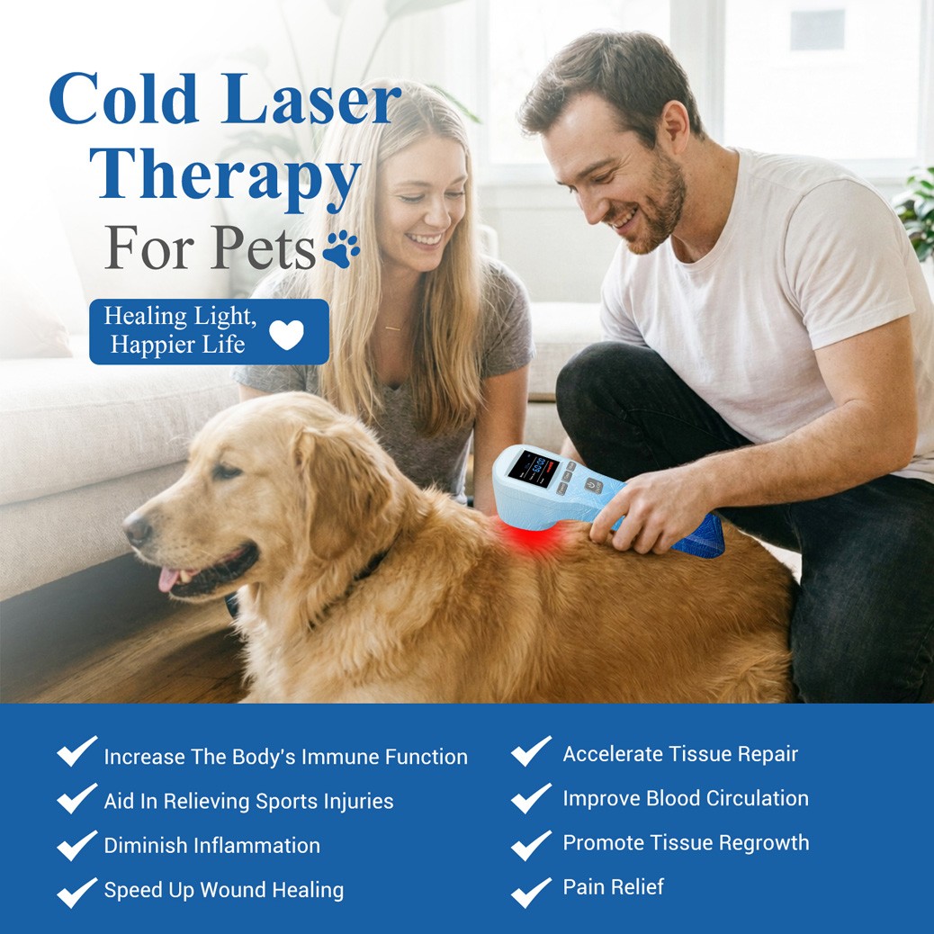 880mW Class 3b Cold Laser Therapy LLLT Device for Pain Relief 16*650nm+4*808nm