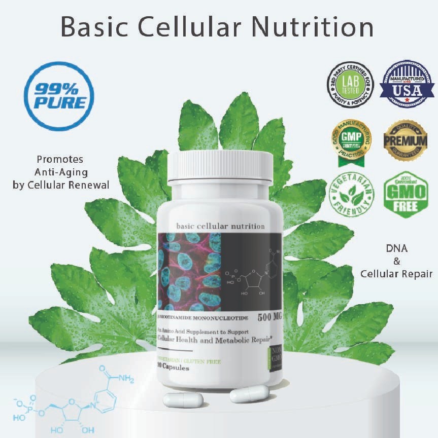 BasicCellularNutrition, Precusor, (90 Capsules) 1 Bottle
