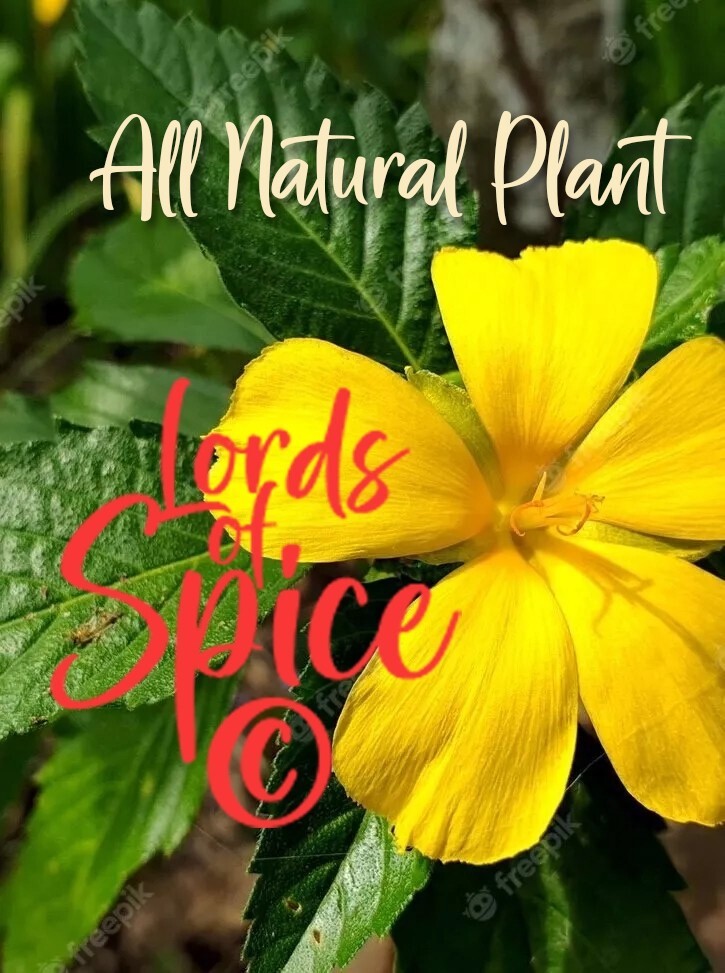 Bulk Damiana Extract Damiana powder Damiana Concentrate Herb Mood Quality USA