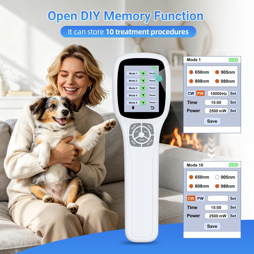 Handheld 2500mW LLLT Laser NIR Light Physiotherapy Device for Joints Pain Relief