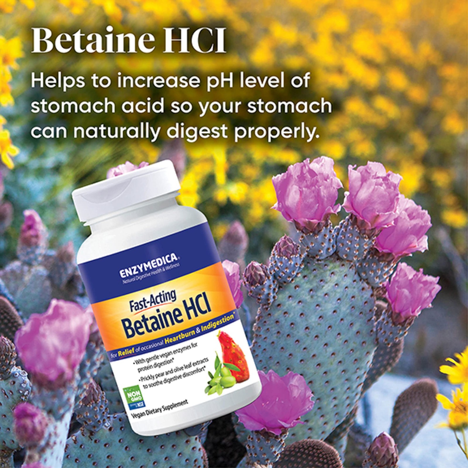 Enzymedica Betaine HCl for Men & Women – 120 Count (Pack of 1), No Color