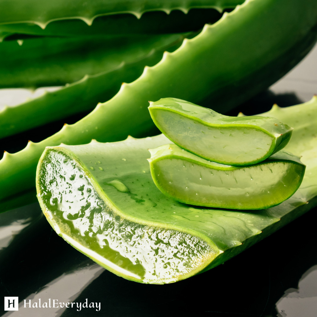 Aloe Vera Gel 1 Gallon / 8 lbs – Pure Organic Thick Soothing Skin Bulk Wholesale