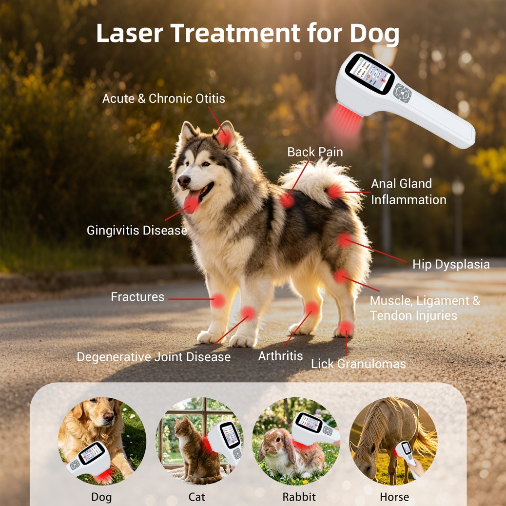 2500mW Low Level Laser Therapy Device for Joint Muscle Arthritis Pain 1-10000Hz