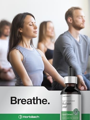Mullein drops for Lung, Mullein Leaf Extract, Super Concentrated Tincture
