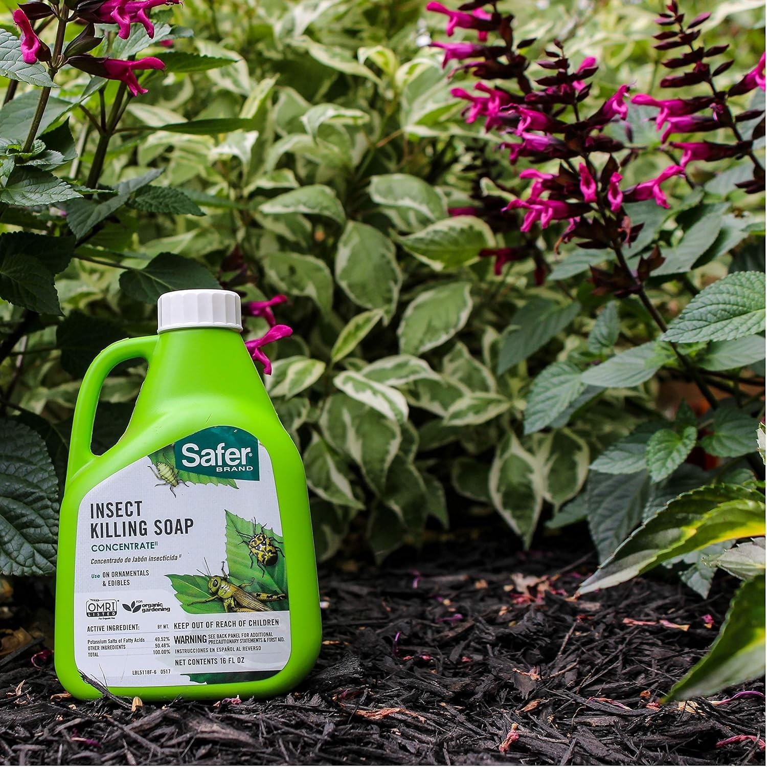 OMRI Listed Insecticidal Soap Concentrate – 16oz Organic Pest Control for Plants