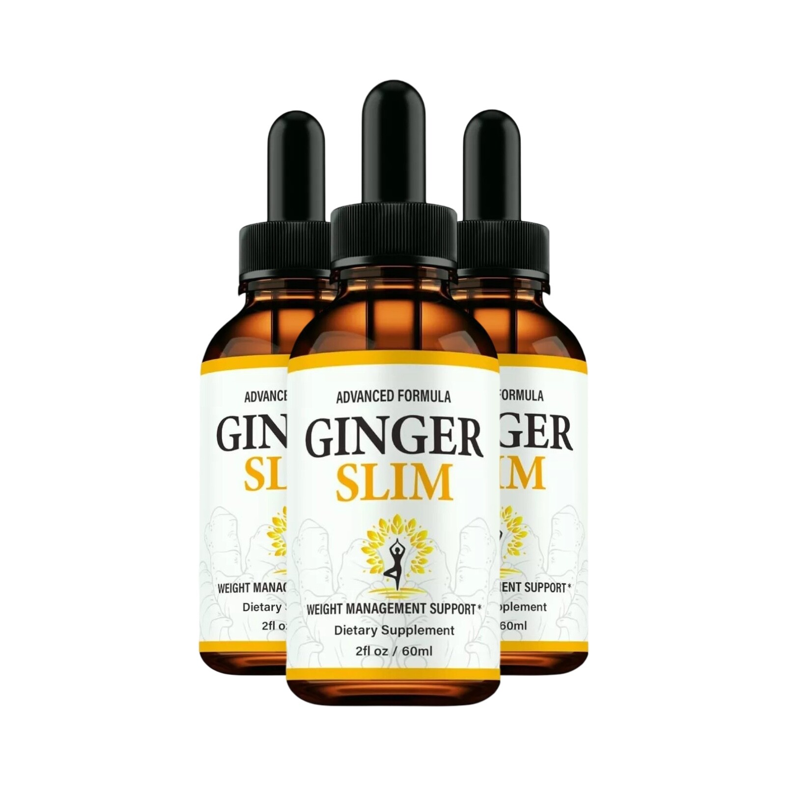 (3 Pack) Ginger Slim Drops, Weight Loss Drops to Support Weight Management