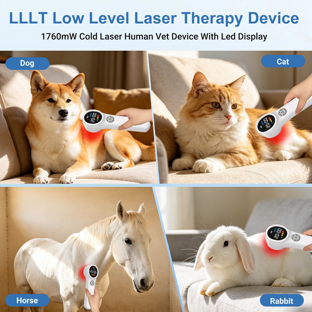 Low Level Laser Therapy for Sprain Wound Injuries Healing Shoulder Pain 1760mW