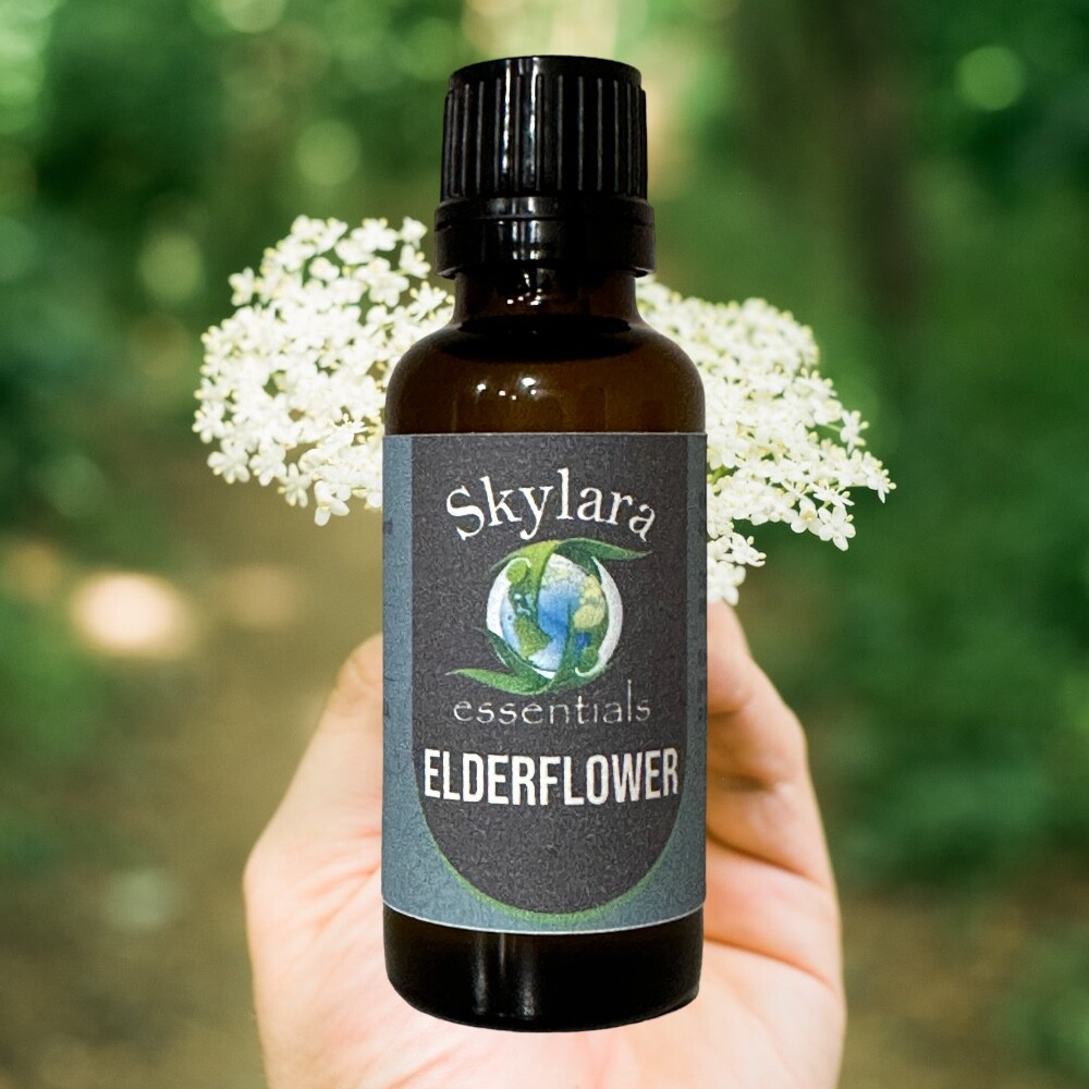Organic Elderflower Essential Oil – Free Shipping