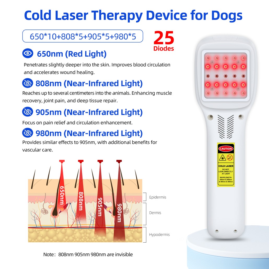 Touchscreen 2.5W Cold Laser Therapy Device for Pain Relief Deep Tissue Human Pet