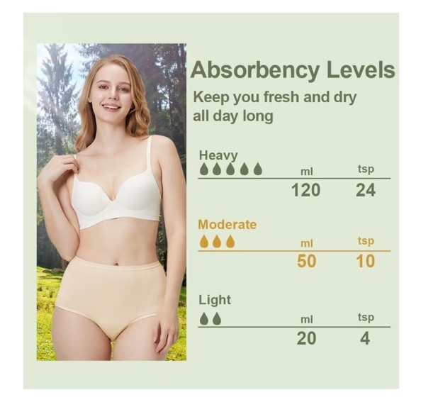 BATTEWA Incontinence Underwear for Women Washable, Leak Proof Underwear Small