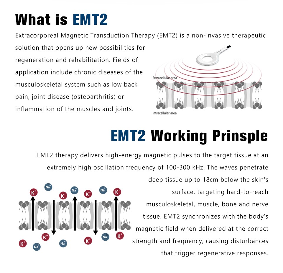 Physical PEMF Magnetic Therapy Magneto EMTT Joint Knee Body Pain Relief Machine