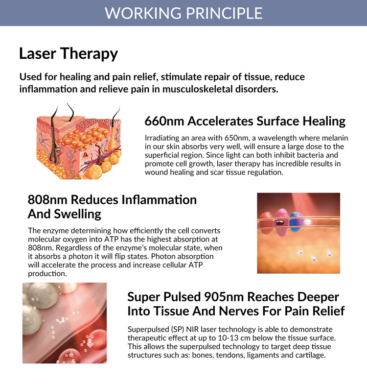 205W Super Pulsed NIR Laser Therapy 905nm*4+808nm*10+660nm*1 for Pain Relief