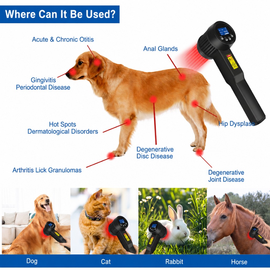 8W Class IV LLLT Laser Therapy Device for Sports Injuries Pets Pain 808nm 650nm