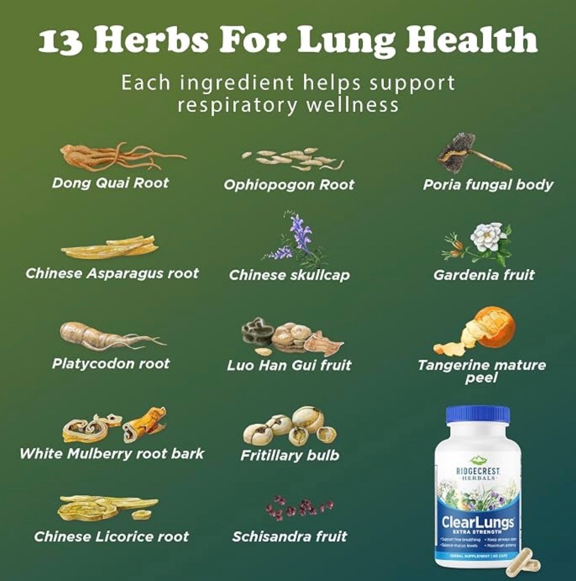 Ridgecrest Herbals Clear Lungs Extra Strength Herbal Supplement 60 caps exp 2029
