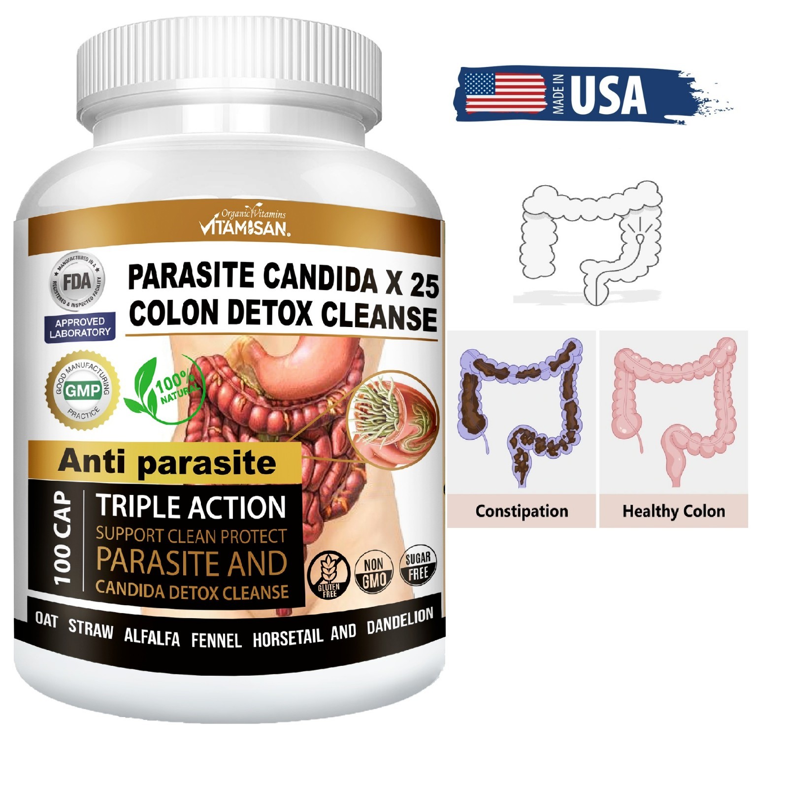 Worm parasite cleanse colon support anti worm detox clean support fungus colon