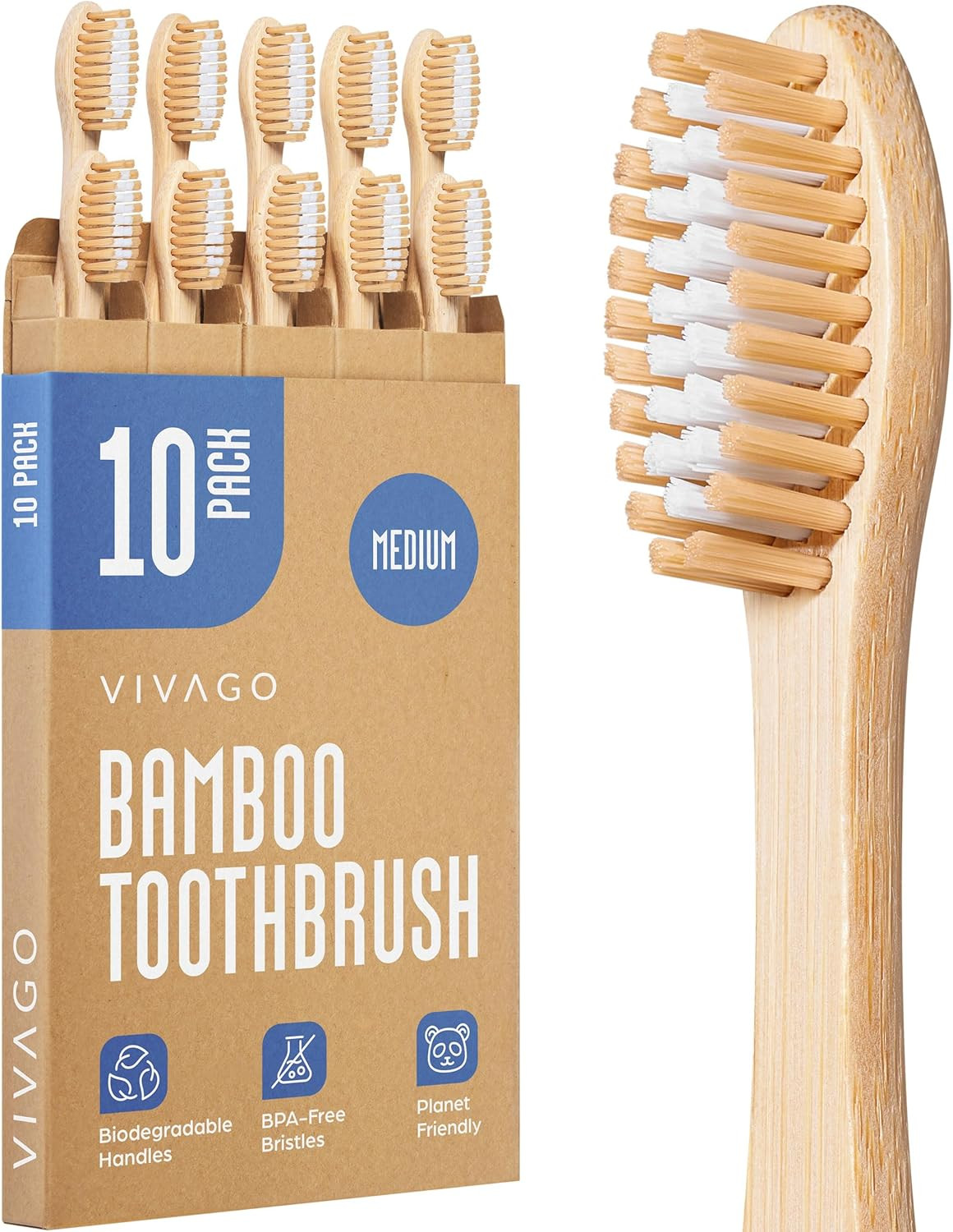 Toothbrushes Medium Bristles 10 Pack BPA Free Medium Bristles Toothbrushes Adult