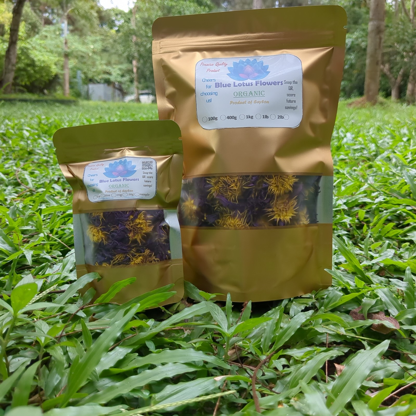 Blue Lotus (Nymphaea Caerulea) 100% Organic Natural Hand Picked Flowers Herb Tea