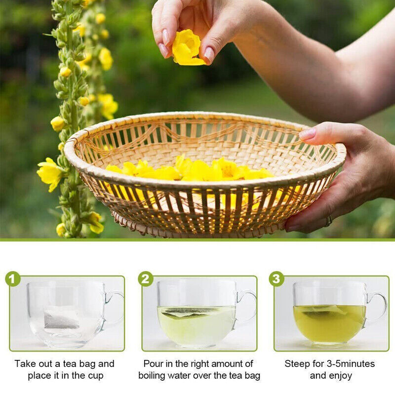 Natural Mullein Drops Mullein Leaf Tea For Lung Cleanse Respiratory Health