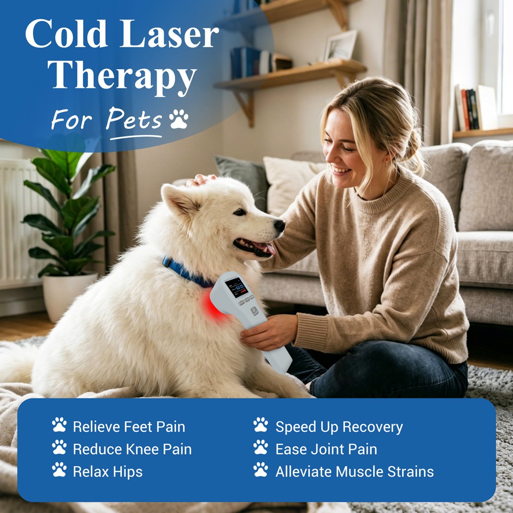 880mW LLLT Laser Therapy for Tissue Healing Arthritis Sports Injury Pain Relief