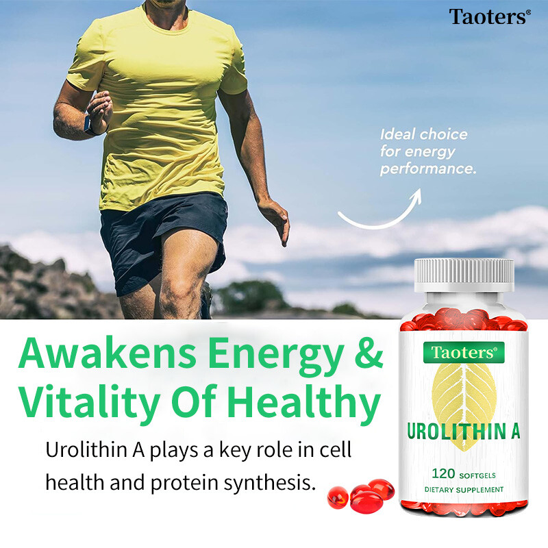 Urolithin A Supplements Improve Muscle Endurance Overall Health 120 Pills US