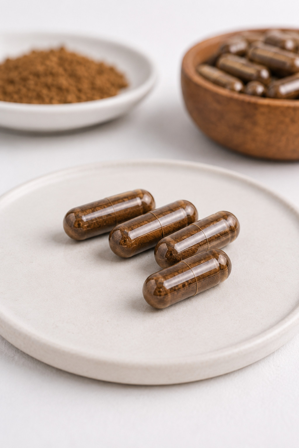 Agarikon Mushroom Capsules 500 mg | Vegan Caps | Fomitopsis officinalis – 100