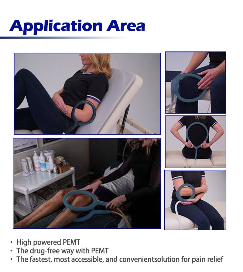PEMF LOOP Magnetic Therapy+Mattress Pmst Physio Magneto Home Use Massage Machine