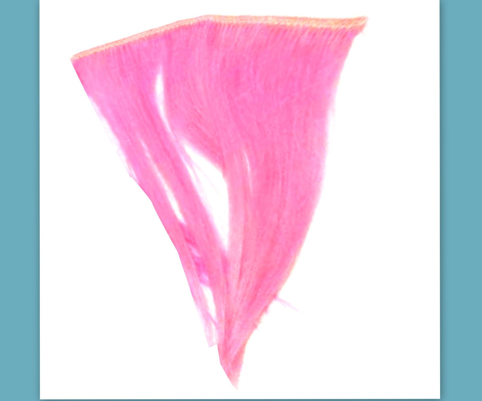 dyed Human Hair Bangs Clip in Emo Scene extensions Women rainbow weft costume