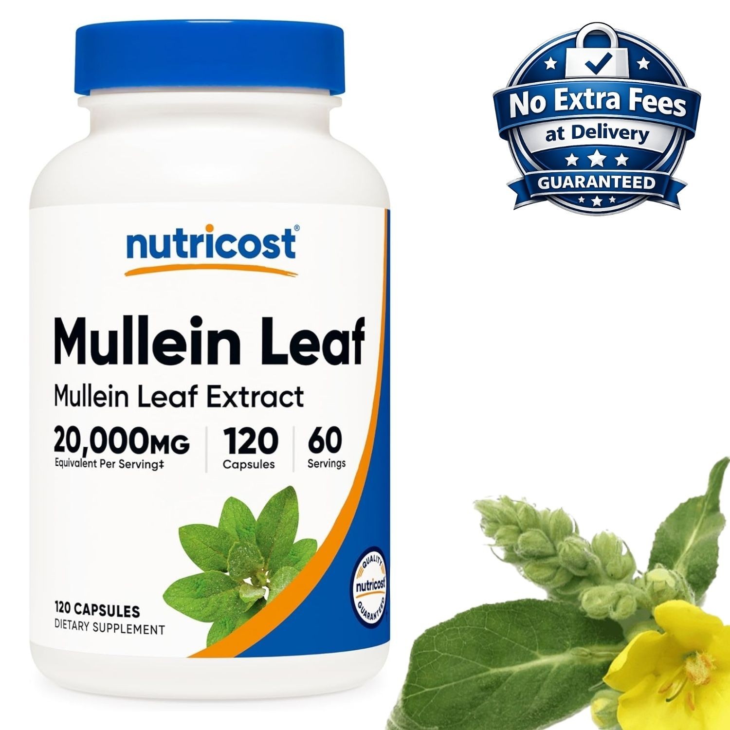 Extracto Hoja de Gordolobo 20000mg Verbascum thapsus 120 Cápsulas 60 Porciones