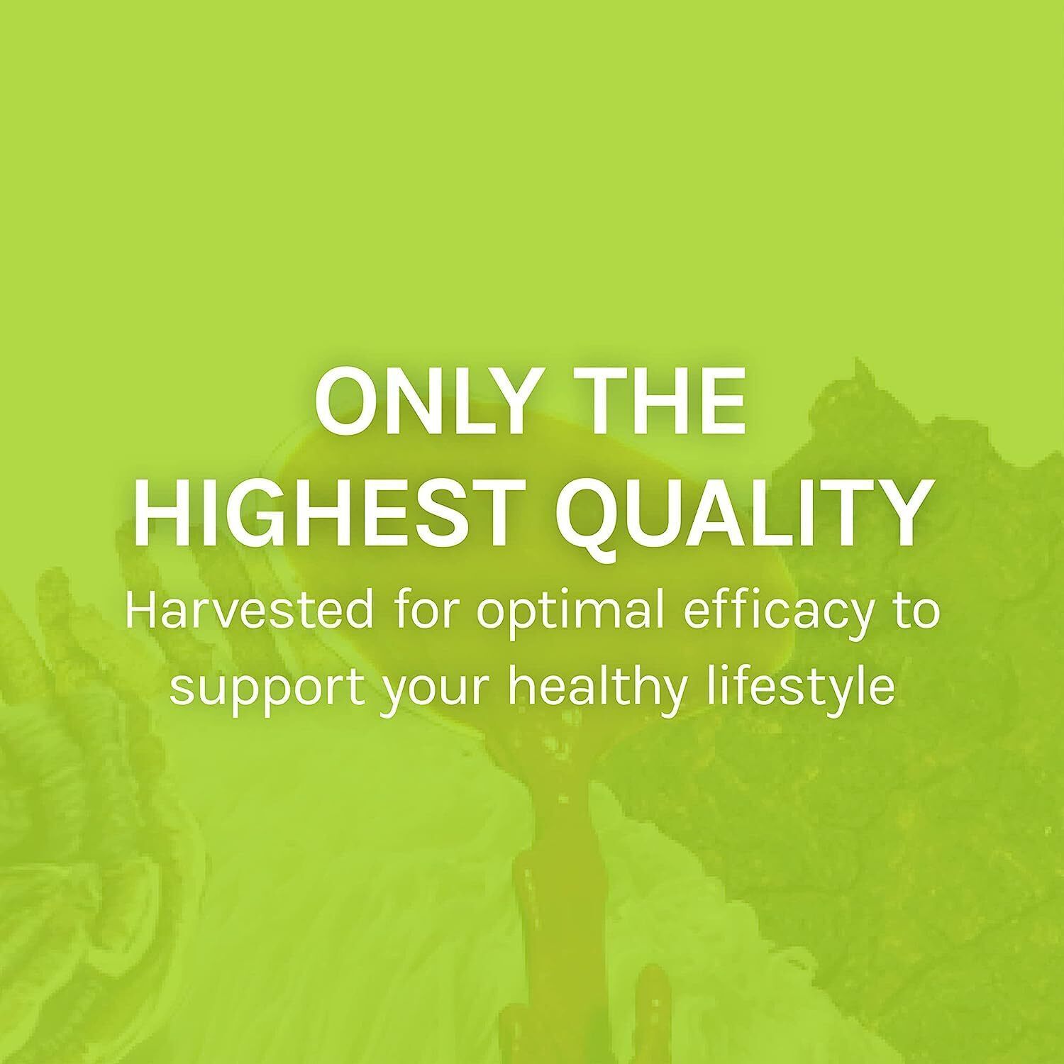 Host Defense Agarikon Capsules – Immune System Support Supplement – Mushroom Sup