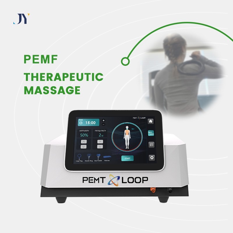 PMST Loop EMTT PEMF Machine Magnetic Physio Therapy Massage Pain Relief Animals