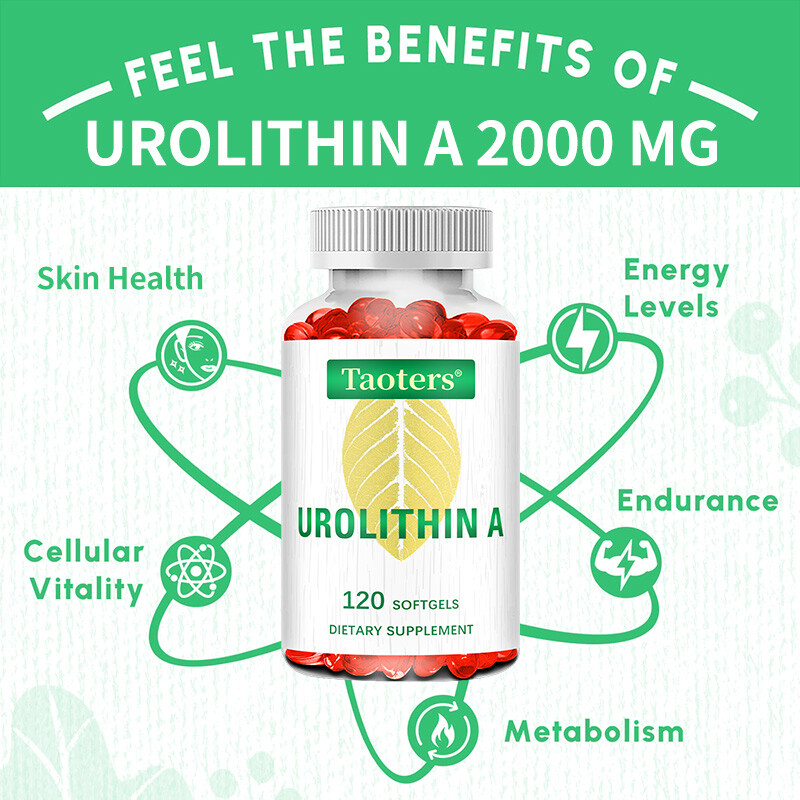 Urolithin A Supplements Improve Muscle Endurance Overall Health 120 Pills US