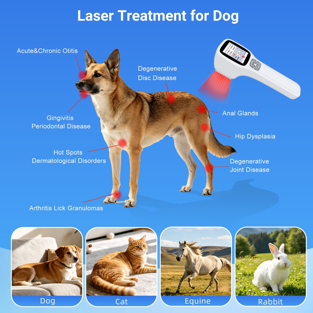 Handheld 2500mW LLLT Laser NIR Light Physiotherapy Device for Joints Pain Relief