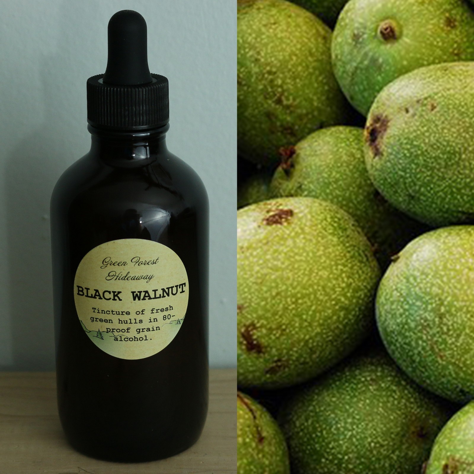 Black Walnut Extract/Tincture 4 oz Organic Juglans nigra Green Forest Hideaway
