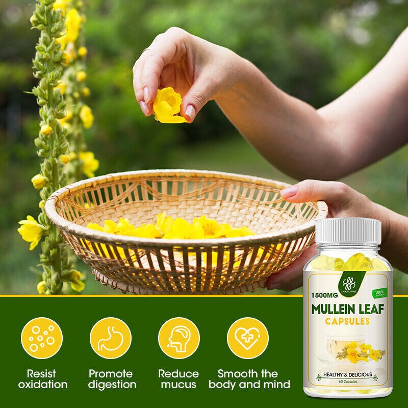 Mullein Leaf Organic Capsule for Lung Cleansing Detox Herbal Dietary Supplement