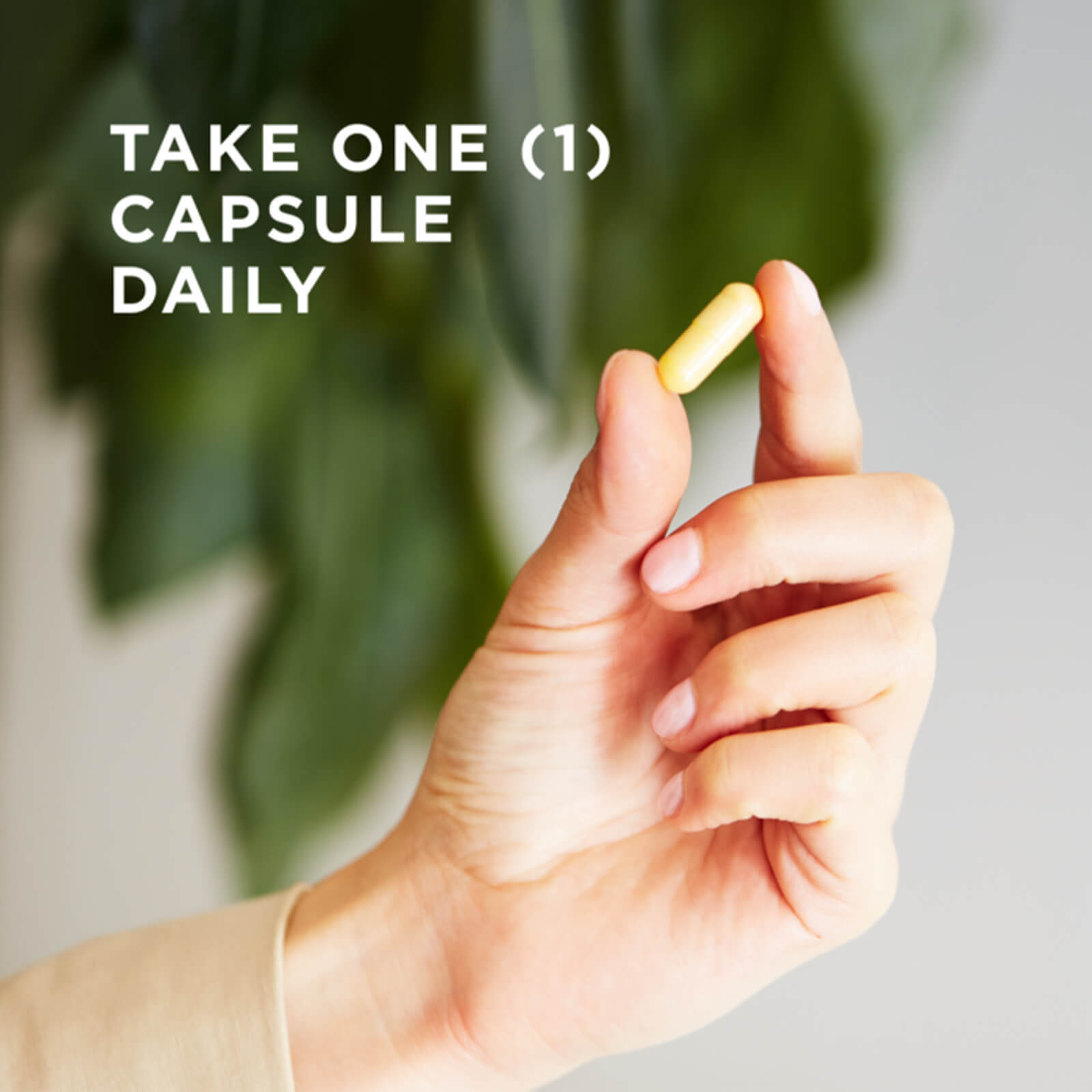 Solgar B-Complex “100” 100 Vegetable Capsules