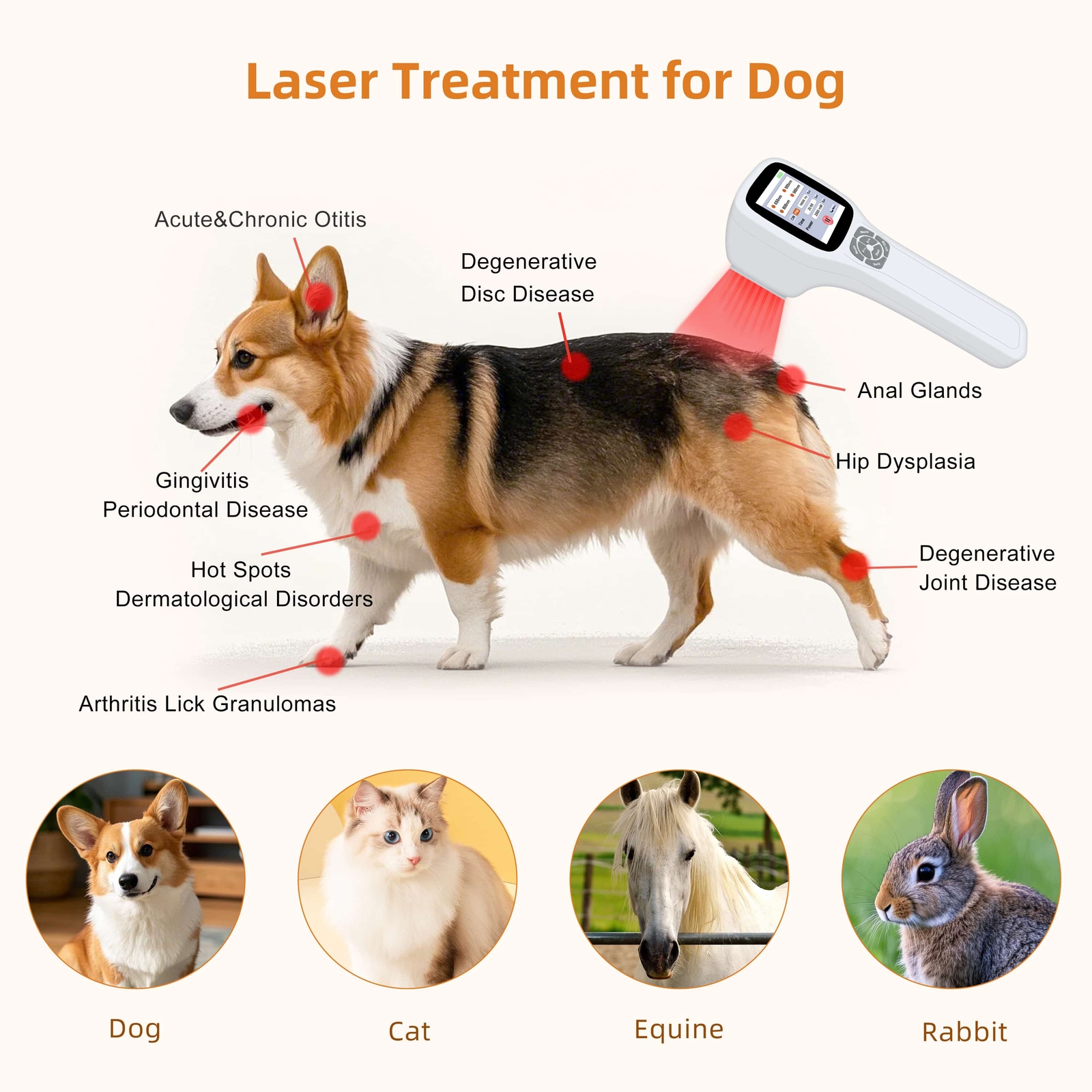 LLLT Red Infrared Laser Therapy Device 25 Diodes Human Body Pain Relief Home Use