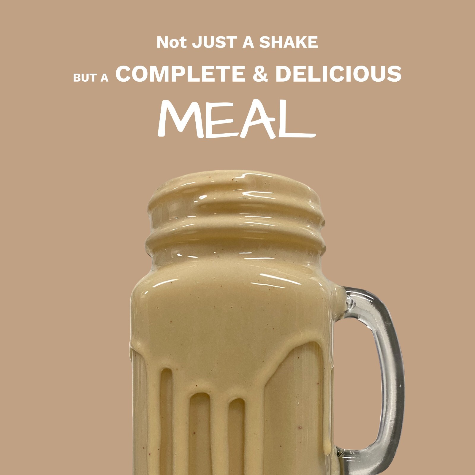 Vegan Meal Replacement Shake Vanilla Cookie – 15 Plant Based Protein Meals