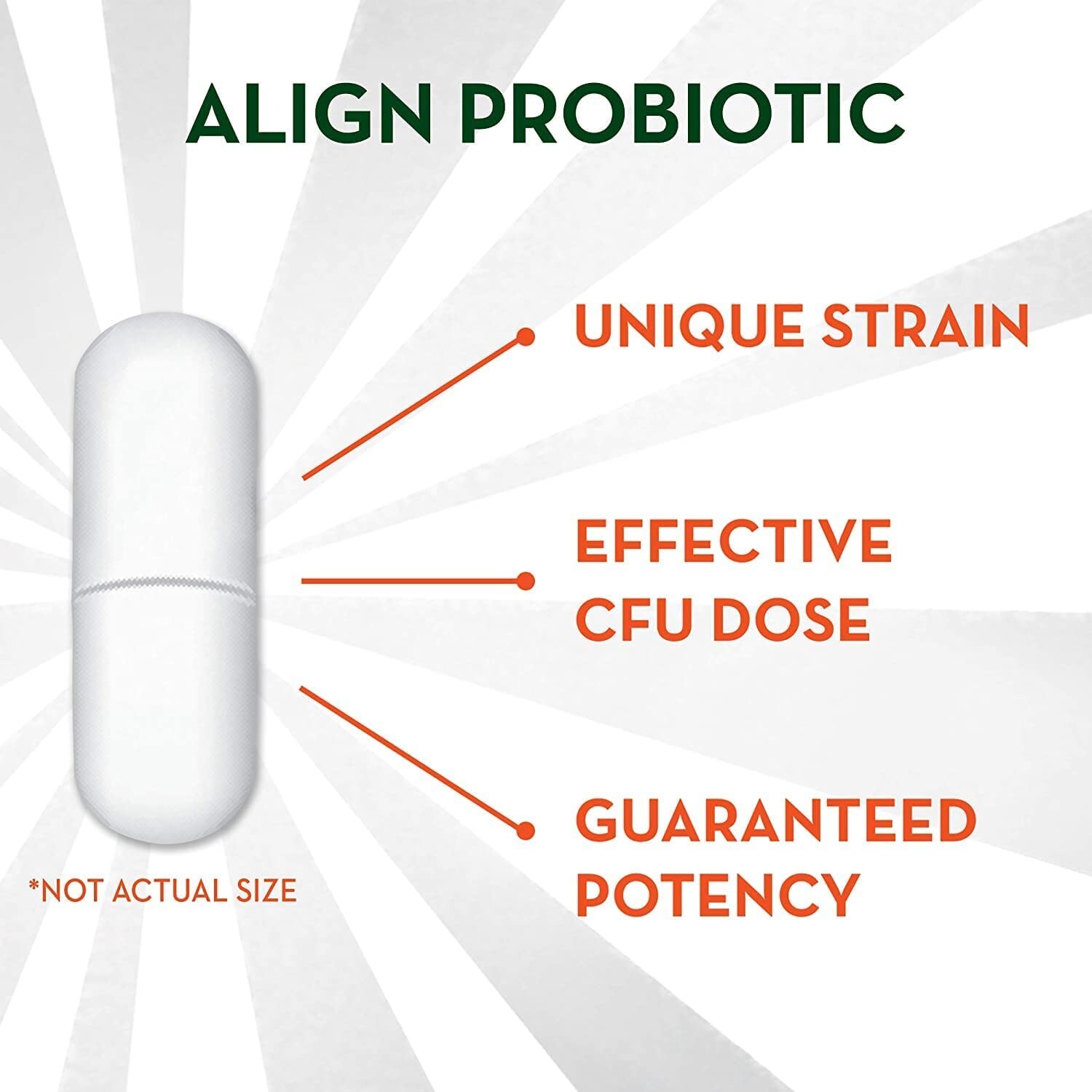 ALIGN PROBIOTIC – DIGESTIVE SUPPORT – 28 CAPSULES – EXP. 8/2026