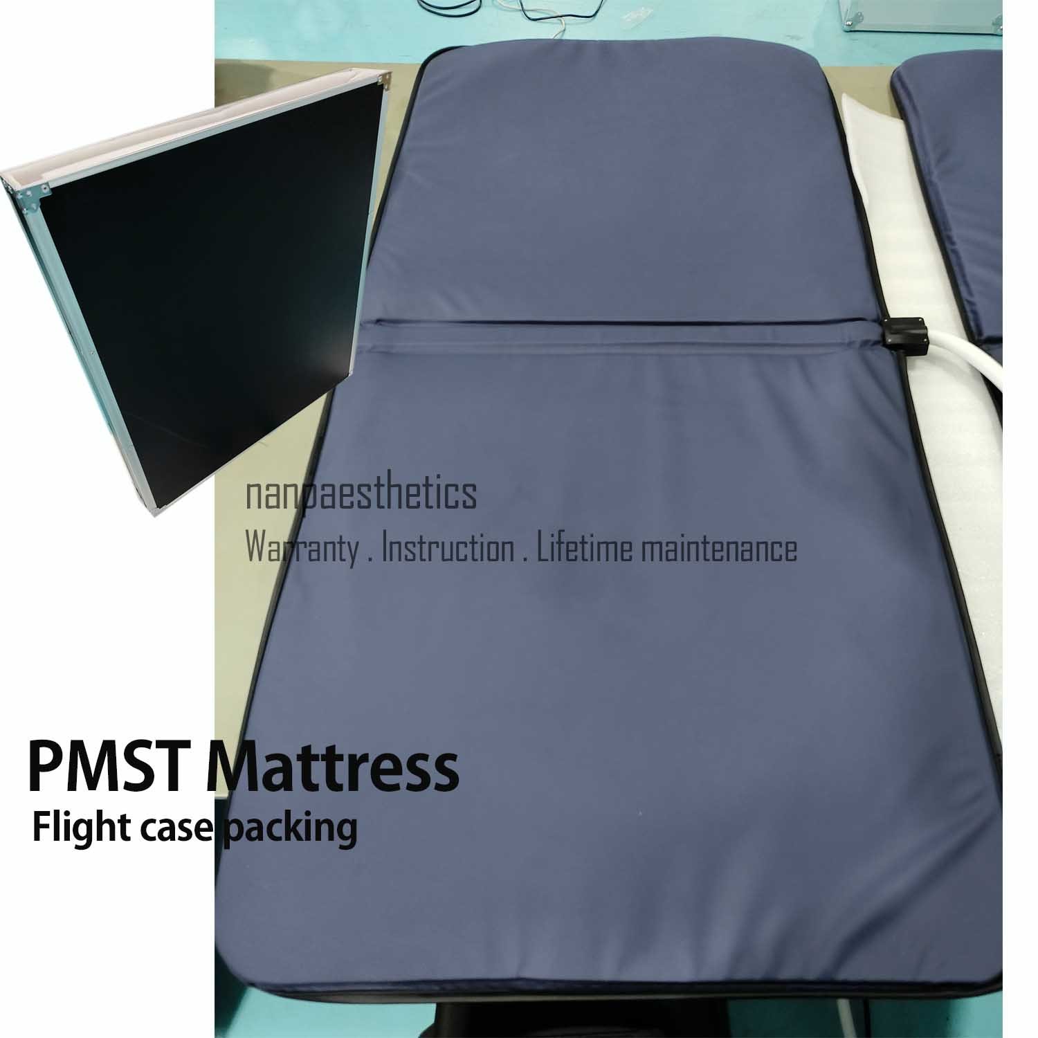 PEMF Electromagnetic Field Physio Magnetic Therapy Machine With PEMF Mattress