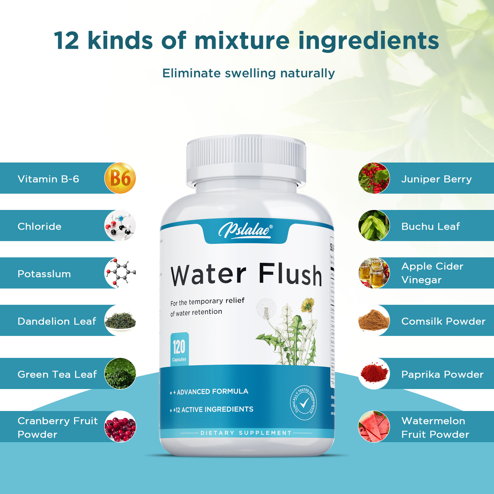 Water Flush – Green Tea, Cranberry – Suppress Appetite,Relieve Bloating,Burn Fat