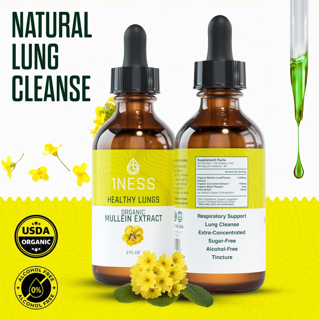 Mullein Drops for Lungs Cleanse – USDA Organic Mullein Leaf Extract w/ Turmeric
