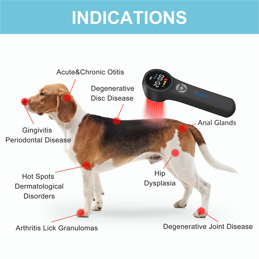1760mW LLLT Low Level Laser Therapy Device For Human And Animals Home Use