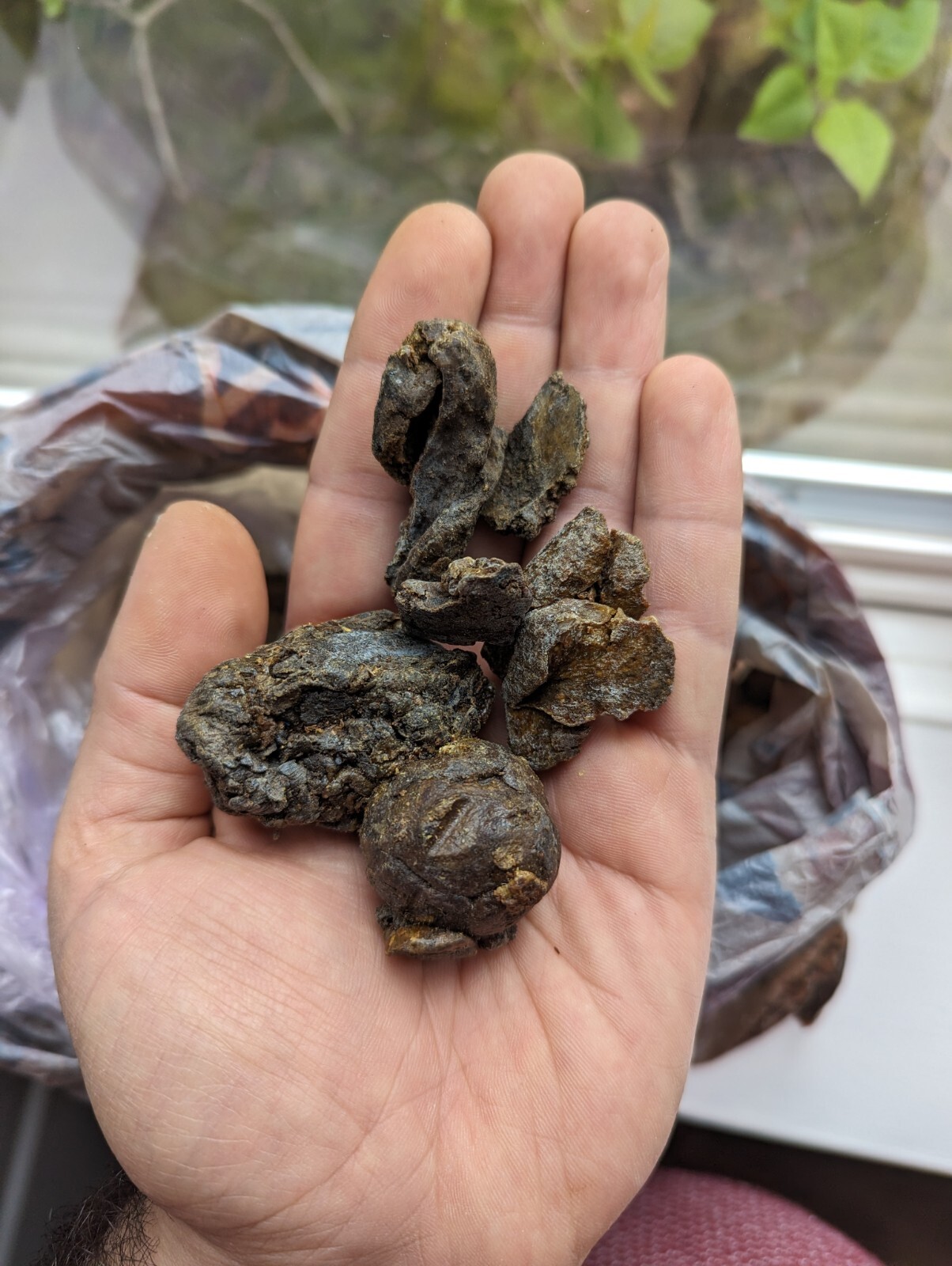 Organic Raw Bee Propolis From Beekeeper, Natural Antibiotic, Natural Treatment